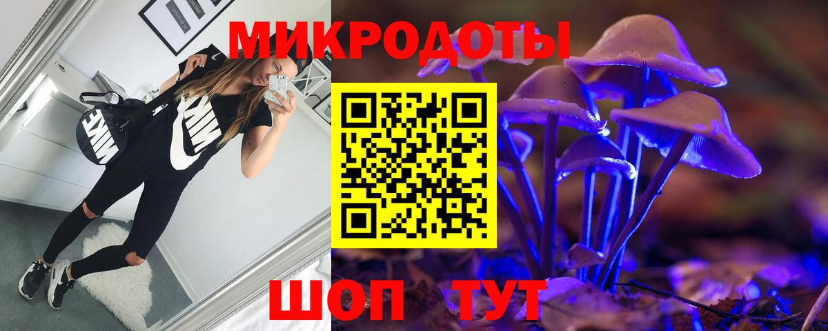Сочи  Псилоцибиновые грибы Psilocybine cubensis  Вход с VPN 